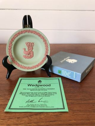 Vintage Wedgwood Jasperware Small Tray Lyre Bird Australian Wild Animals