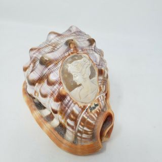 Vintage Italian Conch Shell Hand Carved Cameo Signed By Artist