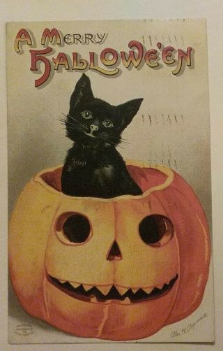 Antique Vntg Halloween Postcard Black Cat In Pumpkin Jol,  Clapsaddle Series 1237