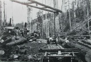 Ho: The Spar Tree,  A Wood And Cast Metal Kit For A Log Loading Operation