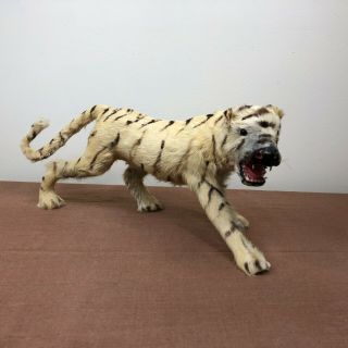 Vintage Tiger Real Fur Toy Taxidermy Figurine 7 " Tall