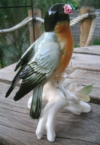 Vintage Karl Ens Bird Figurine Of A Bullfinch German Porcelain
