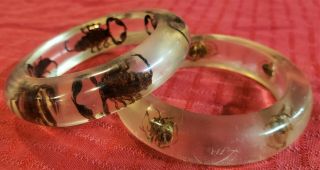 2 Vintage Clear Lucite Insect Bug Bangle Bracelets Spiders & Scorpions Inside