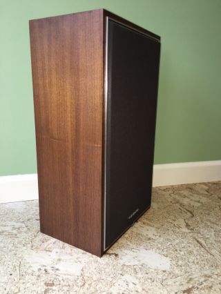 One Vintage Realistic Nova - 15 Speaker In 2