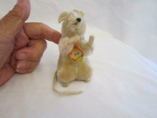 Vintage Steiff Pieps Mouse W/tag Red Eyes