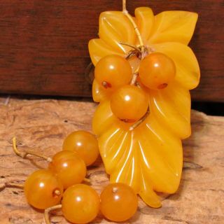 Repair Vintage Carved Butterscotch Bakelite Dress Clip Hawaiian Leaf Berries