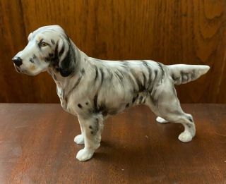 Vintage Royal Doulton Hand Painted English Setter Dog Hn 1051 T Figurine