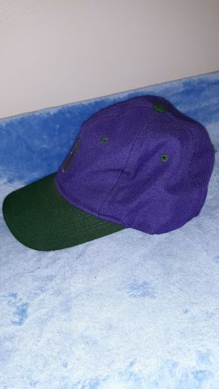 Vintage Stussy 8 Ball Snapback Hat Cap purple green RARE vtg skate 3