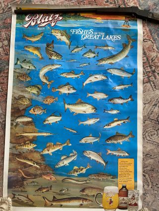 1987 Vintage Fishes Of The Great Lakes Blatz Beer Poster