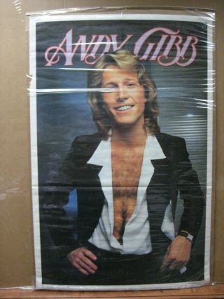 Vintage 1978 Andy Gibb Singer Artist Music Poster 13969