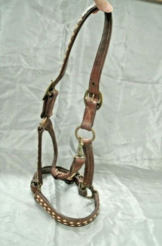 Vintage Leather Buck Stitched Halter Cob Sized Small Horse Large Pony Adjustable