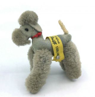 Steiff Woolen Snobby Grey Poodle Mini 6cm 2.  5in Id Button Tag 1960s Doll Pet Vtg