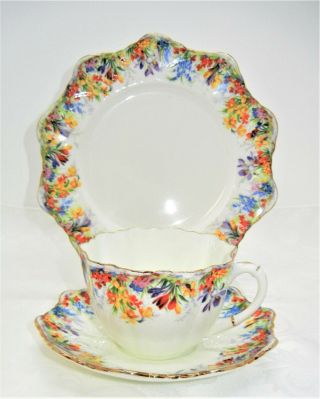 VINTAGE PARAGON - STAR MARK - DAISY PATTERN - CUP,  SAUCER AND BREAD PLATE 2