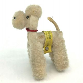 Steiff Woolen Snobby White Poodle 6cm 2.  5in Id Button Tag 1960s Doll Pet Vtg