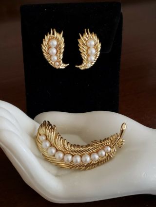 Vtg Crown Trifari Pin Brooch & Clip Earring Set Gold - Tone Leaf Design W Pearls