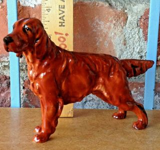 Vintage Royal Doulton Irish Setter - A Well Stacked Coated Sporting Show Dog