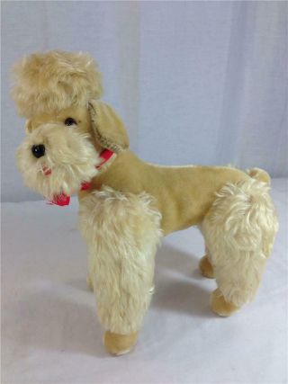 Vintage Steiff Snobby Poodle Dog Tan Mohair Jointed Legs And Neck 12 " X 13 "