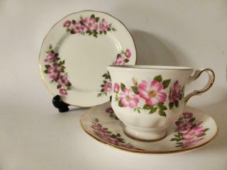 Queen Anne Wild Rose Vintage Bone China Teacup Trio,  Pink Floral,  Tea Cup Set
