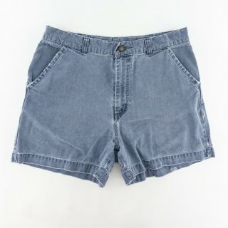 Patagonia Vintage 90s Mens 34 Stand Up Shorts Distressed 5 " Inseam Blue 32