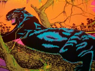 1973 Vintage Jungle Cat Blacklight 70s Poster By Velva Print Made In Us
