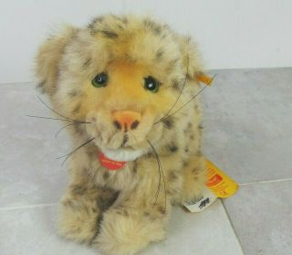 Vintage Rare Made In Germany Steiff Molly Baby Loewe Baby Bear Stuffed Animal