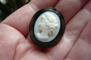 Victorian Carved Pink Conch Shell,  Onyx And 9 Carat Gold Brooch