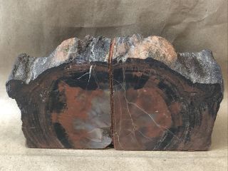 Vintage 1 Petrified Wood Bookends Arizona Polished Petrified Wood