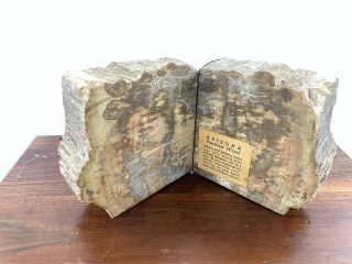 Vintage Arizona Petrified Wood Felted Bookends Brown Cream Book 9 7/8 " X 5 1/4 "