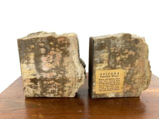 Vintage Arizona Petrified Wood Felted Bookends Brown Cream Book 9 7/8 