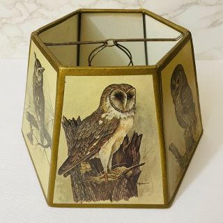 Vintage Owl Lamp Shade E Rambow 6 Panels