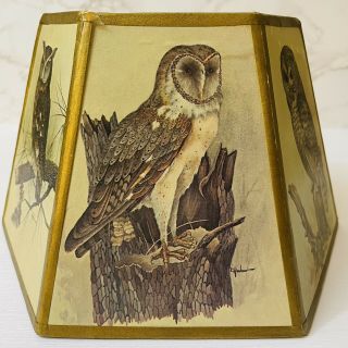 Vintage Owl Lamp Shade E Rambow 6 Panels 2