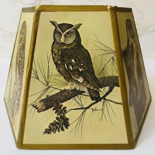 Vintage Owl Lamp Shade E Rambow 6 Panels 3