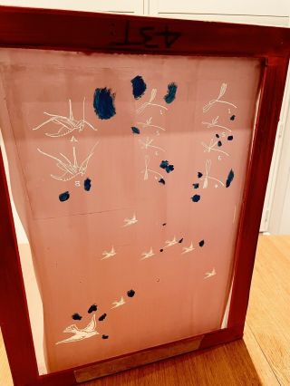 Vintage Handmade Silk Screen Cedar Frame 50 X 65 Cm | Swallows & Dragonflies