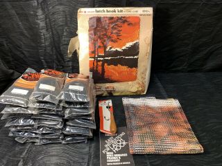 Vintage Red Heart Latch Hook Rug Trees Sunset Landscape Lake 27 X 20 Tapestry