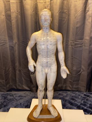 Acupuncture Dummy Rubber Doll Medical Model 18 " Vintage Rare