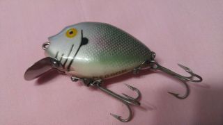 Vintage Heddon Punkinseed Spook Fishing Lure Shiner Color? Ex Cond.