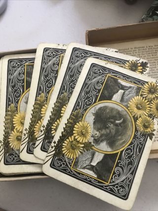 Vintage Antique Card Game Cincinnati Game Co.  1122 Game Of Yellowstone Complete