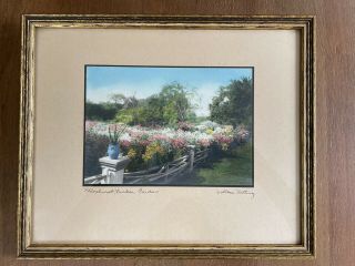 Wallace Nutting “phloxhurst,  Durkee Garden” Hand Colored Photo Signed