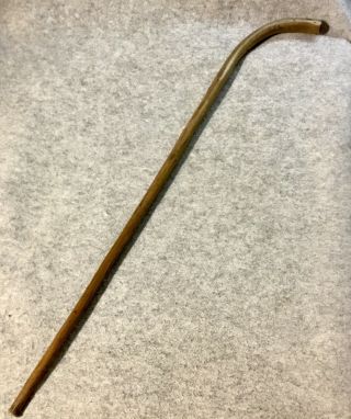 Vintage Farmers Show Cane / Walking Stick For Showing Pigs At County Shows