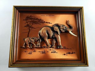 Vtg 3d Framed Photo Art - Elephant - Kruger National Park - South Africa