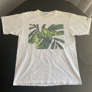 Vintage Rainforest Cafe Frog Box T - Shirt Size Large