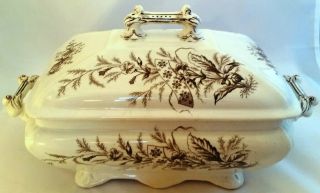 Furnival & Sons Spray Covered Tureen - Victorian English Brown/crm Transferware