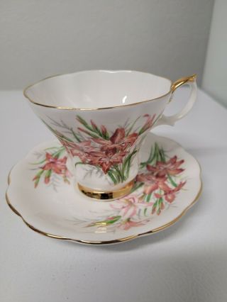 Vintage Royal Albert Tea Cup And Saucer Bone China England Friendship Gladiolus