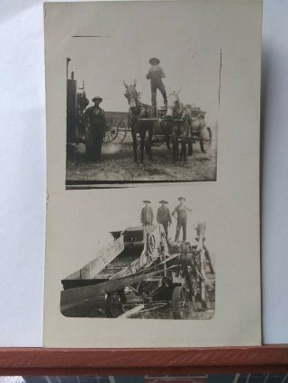 Vintage Postcard,  Early Farming,  Threshing,  Harvest.  Mules.  Rppc