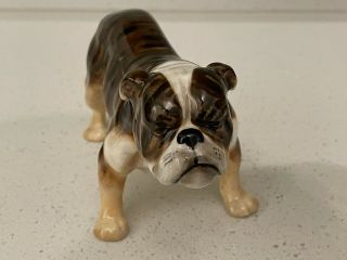 Vintage Royal Doulton Bulldog Hn1047 Porcelain Dog Figurine Figure