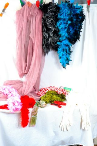 Feather Boa,  Vintage White Gloves,  Photo Prop Kit Great Items