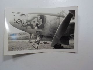 Wwii Photo Fighter Plane Nose Cone Art Woman Wearing Lingerie Vtg Ww2