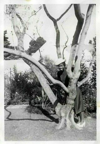 C1930s Pretty African American Woman Hiding Inside A Tree Vintage Snapshot Photo