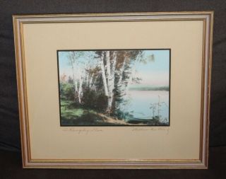 Vtg Wallace Nutting Signed Print Birch Trees A Rangeley Shore