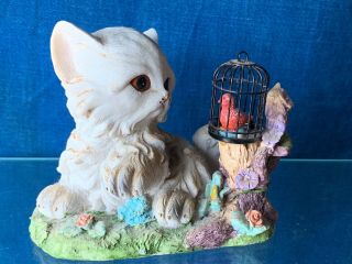 Vintage White Persian Cat Kitten & The Temptation Cardinal In Bird Cage ❤️sj7m
